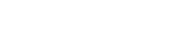 Integral Leaders in Health
