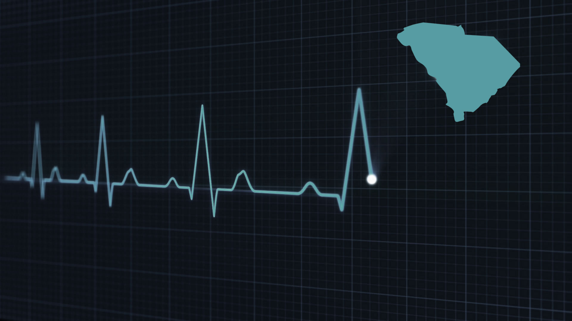 Building South Carolina's physician workforce